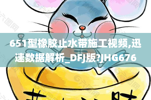 651型橡胶止水带施工视频,迅速数据解析_DFJ版?JHG676