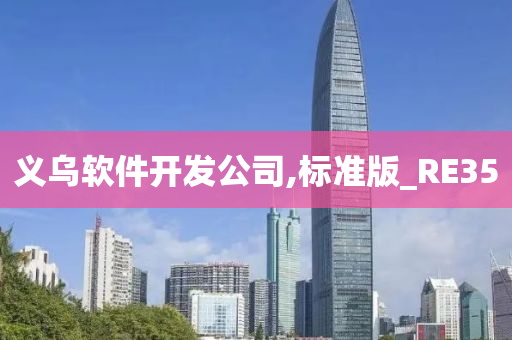义乌软件开发公司,标准版_RE35