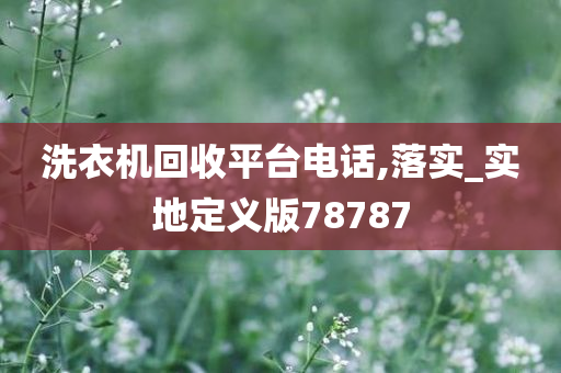 guozhejia 第52页