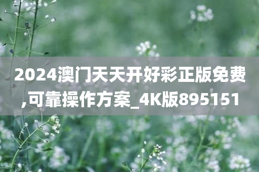 2024澳门天天开好彩正版免费,可靠操作方案_4K版895151