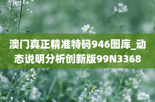 澳门真正精准特码946图库_动态说明分析创新版99N3368