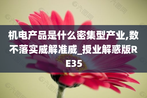 机电产品是什么密集型产业,数不落实威解准威_授业解惑版RE35