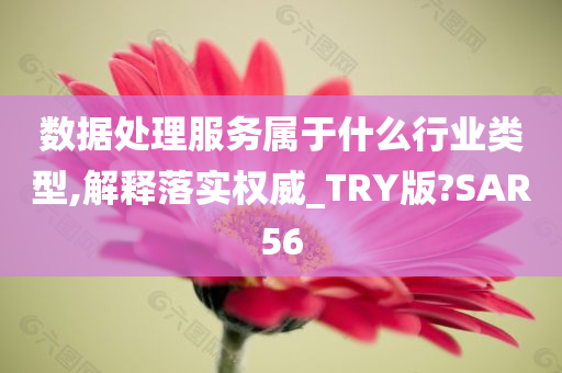 数据处理服务属于什么行业类型,解释落实权威_TRY版?SAR56