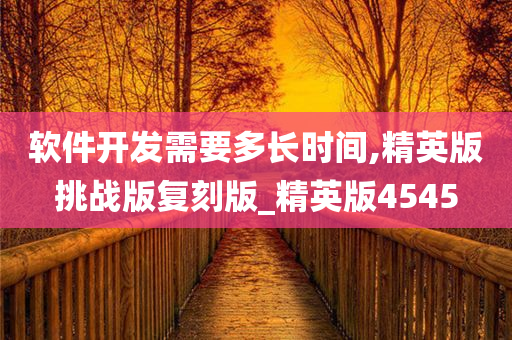软件开发需要多长时间,精英版挑战版复刻版_精英版4545