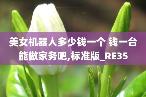 美女机器人多少钱一个 钱一台能做家务吧,标准版_RE35