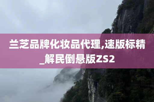 兰芝品牌化妆品代理,速版标精_解民倒悬版ZS2