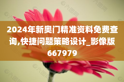 2024年新奥门精准资料免费查询,快捷问题策略设计_影像版667979