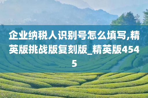 企业纳税人识别号怎么填写,精英版挑战版复刻版_精英版4545