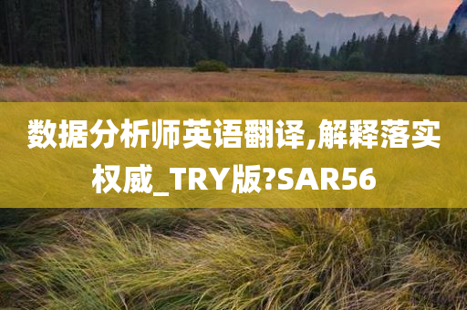 数据分析师英语翻译,解释落实权威_TRY版?SAR56
