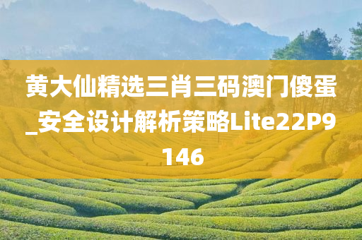 黄大仙精选三肖三码澳门傻蛋_安全设计解析策略Lite22P9146