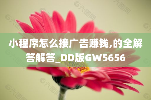 小程序怎么接广告赚钱,的全解答解答_DD版GW5656