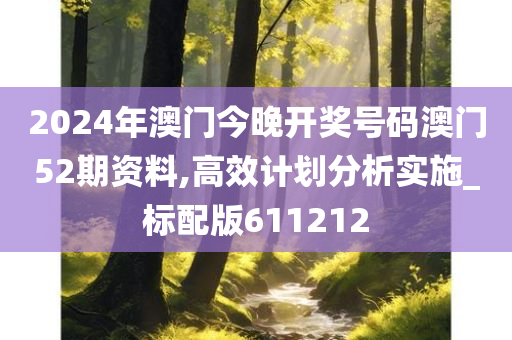 2024年澳门今晚开奖号码澳门52期资料,高效计划分析实施_标配版611212