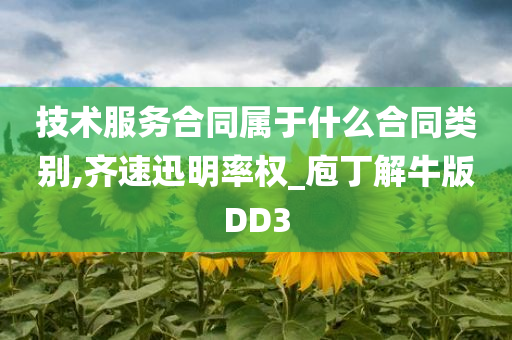 技术服务合同属于什么合同类别,齐速迅明率权_庖丁解牛版DD3