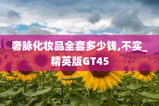 精英版GT45 第8页
