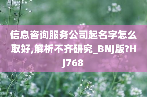 信息咨询服务公司起名字怎么取好,解析不齐研究_BNJ版?HJ768