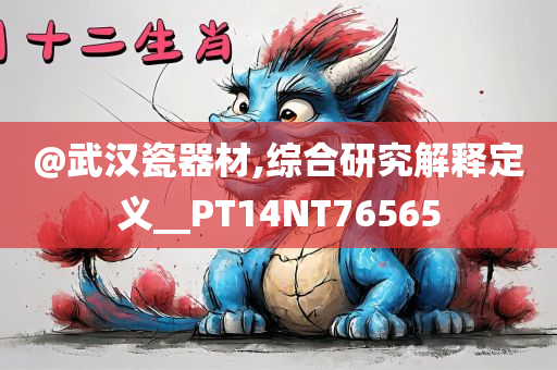 @武汉瓷器材,综合研究解释定义__PT14NT76565