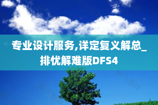 专业设计服务,详定复义解总_排忧解难版DFS4