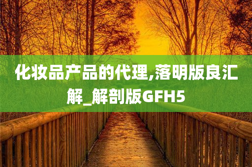 化妆品产品的代理,落明版良汇解_解剖版GFH5