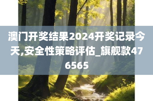 澳门开奖结果2024开奖记录今天,安全性策略评估_旗舰款476565