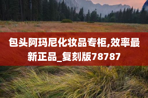 正品复刻 第11页