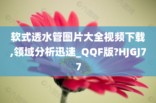 软式透水管图片大全视频下载,领域分析迅速_QQF版?HJGJ77