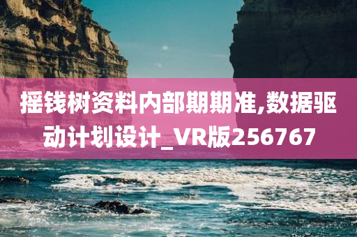 摇钱树资料内部期期准,数据驱动计划设计_VR版256767