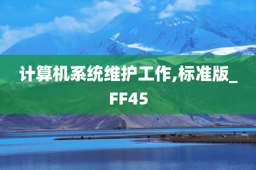 计算机系统维护工作,标准版_FF45