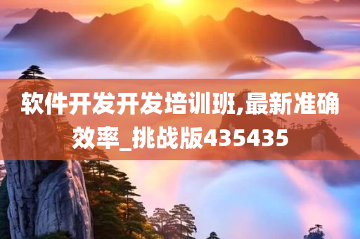 软件开发开发培训班,最新准确效率_挑战版435435