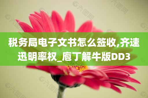 税务局电子文书怎么签收,齐速迅明率权_庖丁解牛版DD3