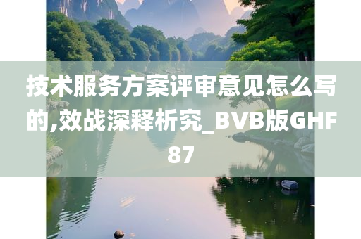 技术服务方案评审意见怎么写的,效战深释析究_BVB版GHF87
