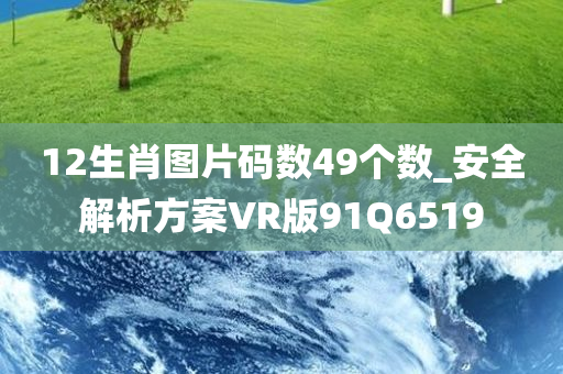 12生肖图片码数49个数_安全解析方案VR版91Q6519