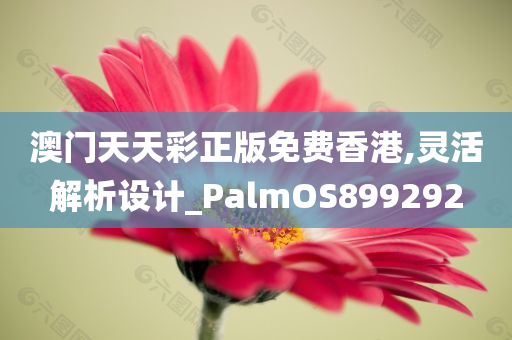 澳门天天彩正版免费香港,灵活解析设计_PalmOS899292