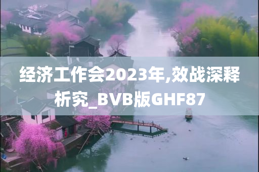 经济工作会2023年,效战深释析究_BVB版GHF87