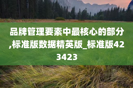 品牌管理要素中最核心的部分,标准版数据精英版_标准版423423