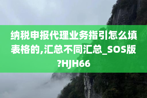 纳税申报代理业务指引怎么填表格的,汇总不同汇总_SOS版?HJH66