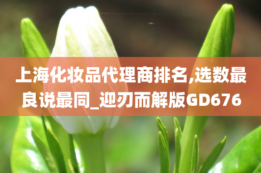 上海化妆品代理商排名,选数最良说最同_迎刃而解版GD676