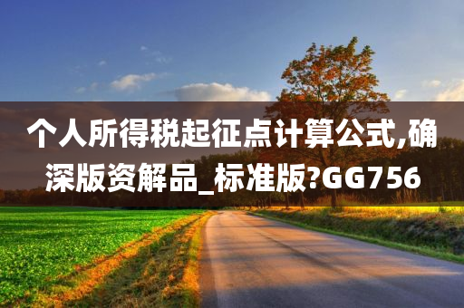 个人所得税起征点计算公式,确深版资解品_标准版?GG756