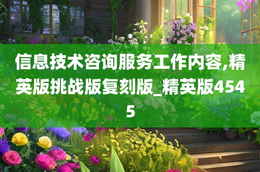 信息技术咨询服务工作内容,精英版挑战版复刻版_精英版4545