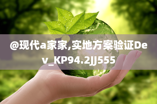 @现代a家家,实地方案验证Dev_KP94.2JJ555