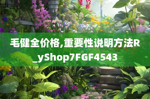 毛健全价格,重要性说明方法R_yShop7FGF4543