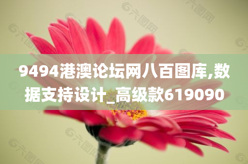 9494港澳论坛网八百图库,数据支持设计_高级款619090