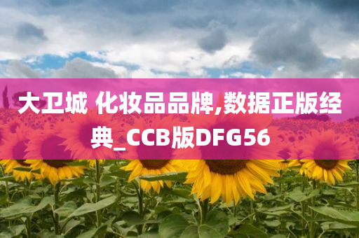 大卫城 化妆品品牌,数据正版经典_CCB版DFG56