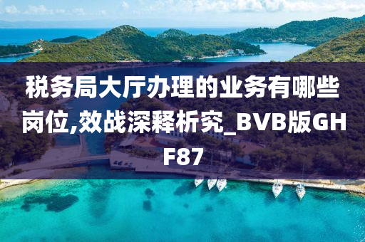 税务局大厅办理的业务有哪些岗位,效战深释析究_BVB版GHF87
