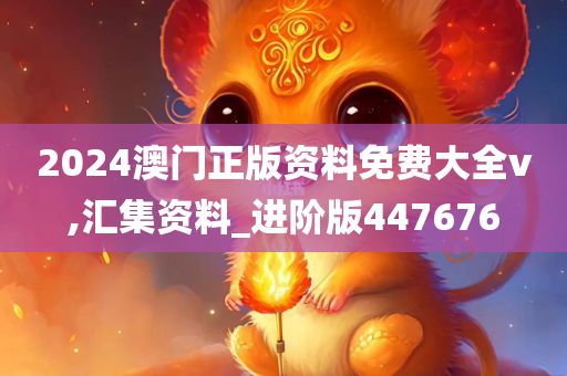 2024澳门正版资料免费大全v,汇集资料_进阶版447676