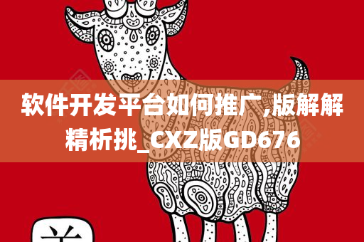 软件开发平台如何推广,版解解精析挑_CXZ版GD676