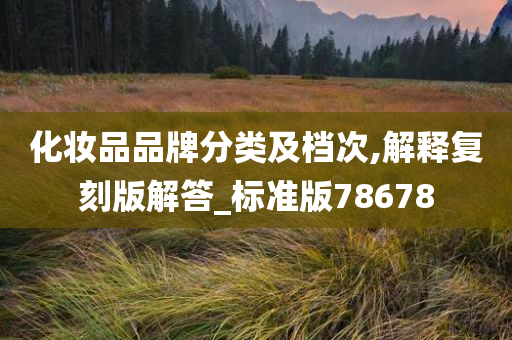 化妆品品牌分类及档次,解释复刻版解答_标准版78678