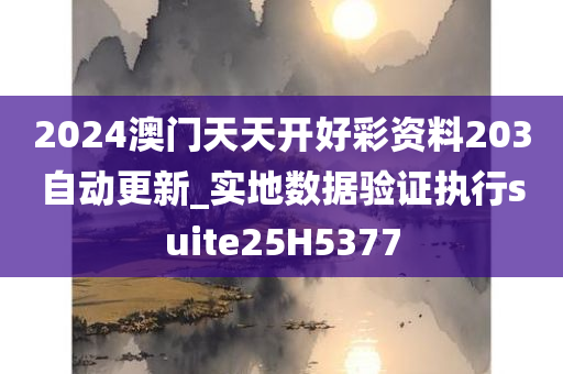 2024澳门天天开好彩资料203自动更新_实地数据验证执行suite25H5377