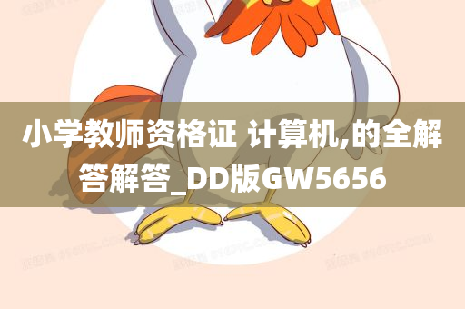 小学教师资格证 计算机,的全解答解答_DD版GW5656