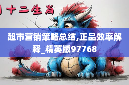 超市营销策略总结,正品效率解释_精英版97768