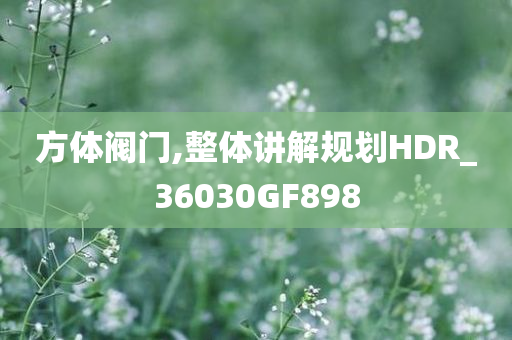 方体阀门,整体讲解规划HDR_36030GF898